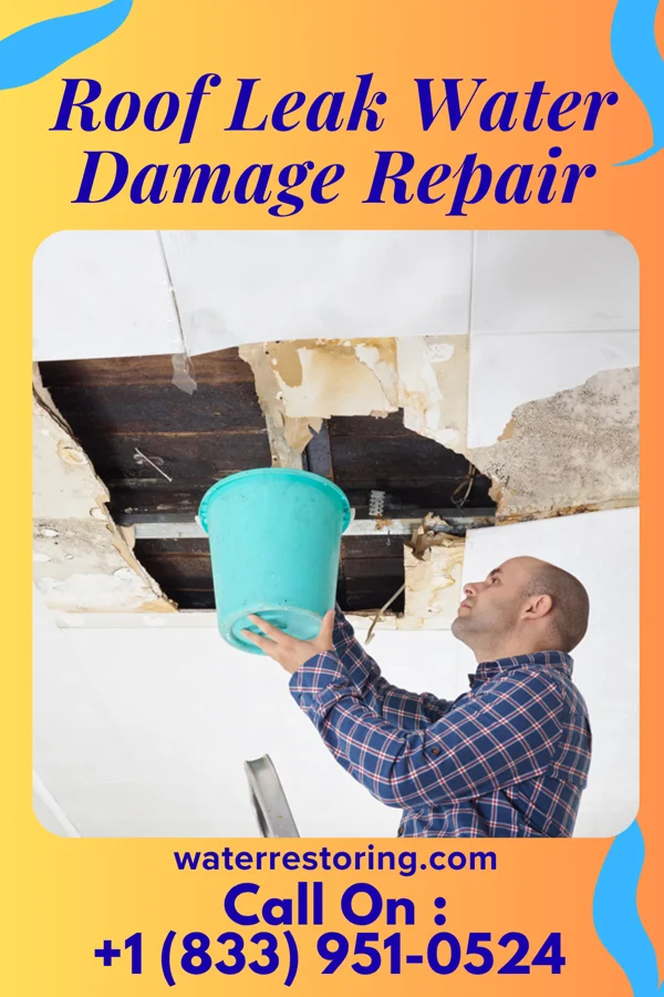 Roof Leak Water Damage Repair in Newington, GA